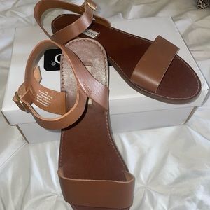 Steve Madden Brown Sandals